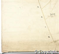 136106.jpg