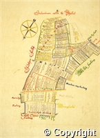 croc.bk.107_P10.E.ma.jpg