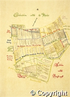 croc.bk.107_P10.G.ma.jpg