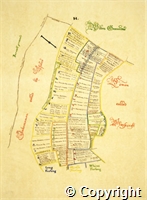 croc.bk.107_P10.H.ma.jpg