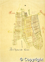 croc.bk.107_P10.N.ma.jpg