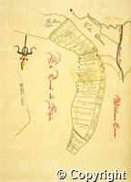 croc.bk.107_P10.P.ma.jpg