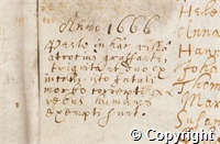 croc.bk.P153_1_1.1666.det.jpg