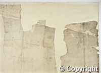 croc.ma.124_P6.01.jpg
