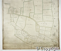 croc.ma.124_P64.1.jpg