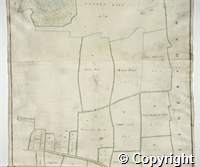 croc.ma.124_P64.2.jpg
