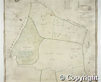 croc.ma.124_P64.3.jpg