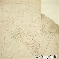 croc.ma.124_P65.det.jpg
