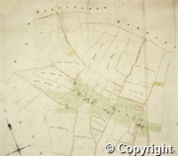 croc.ma.124_P66.det.jpg