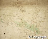 croc.ma.124_P67.det.jpg
