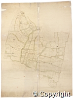 croc.ma.124_P80.jpg