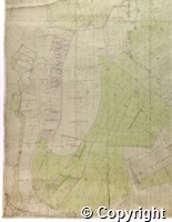 croc.ma.124_P84.bl.jpg
