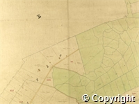croc.ma.124_P85.11.jpg