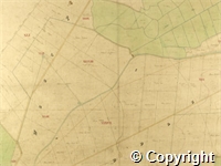 croc.ma.124_P85.15.jpg