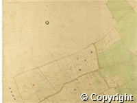 croc.ma.124_P85.17.jpg
