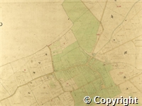 croc.ma.124_P85.18.jpg