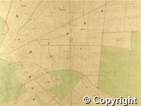 croc.ma.124_P85.19.jpg