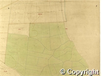 croc.ma.124_P85.20.jpg