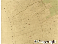 croc.ma.124_P85.21.jpg