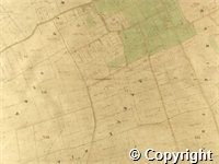 croc.ma.124_P85.22.jpg