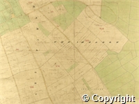 croc.ma.124_P85.23.jpg