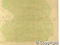 croc.ma.124_P85.24.jpg