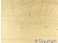 croc.ma.124_P85.25.jpg