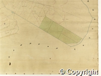 croc.ma.124_P85.32.jpg