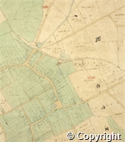 croc.ma.124_P85.det.jpg