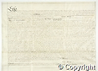 croc.ms.101_T_823.p3.jpg