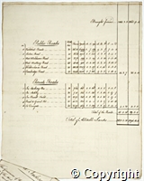 croc.ms.124_P6.pt.p08.jpg