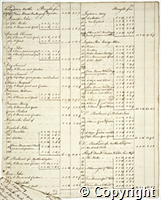 croc.ms.124_P6.pt.p10.jpg