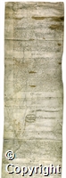 croc.ms.City_PB Box X_71.1483-4.1.jpg