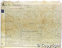 croc.ms.K107_F_h_46_12.p1.jpg