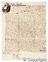 croc.ms.R52_12_8_5.jpg