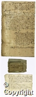 croc.ms.R59_31_Box2_bundle4.jpg