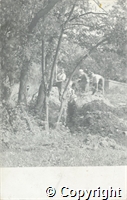 croc.ph.1140_5_16_6.jpg