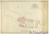 croc.pl.305_P10.jpg