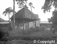 croh.ph.KPH61_1.jpg