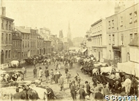 St Ives cattle market, c. 1886