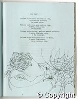 croc.bk.C_ES66H_54.p31.names erased.jpg